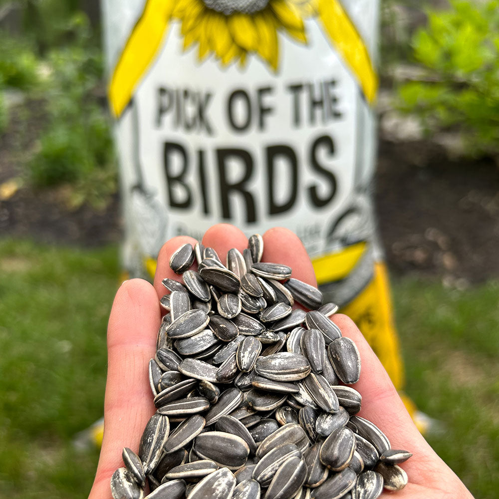 what products can we sell?