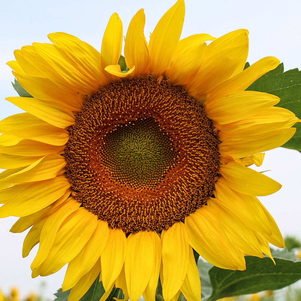 what's in it for us?